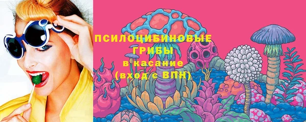 стаф Алзамай