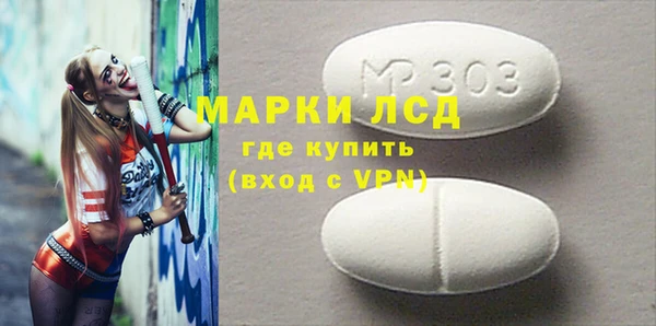 стаф Алзамай